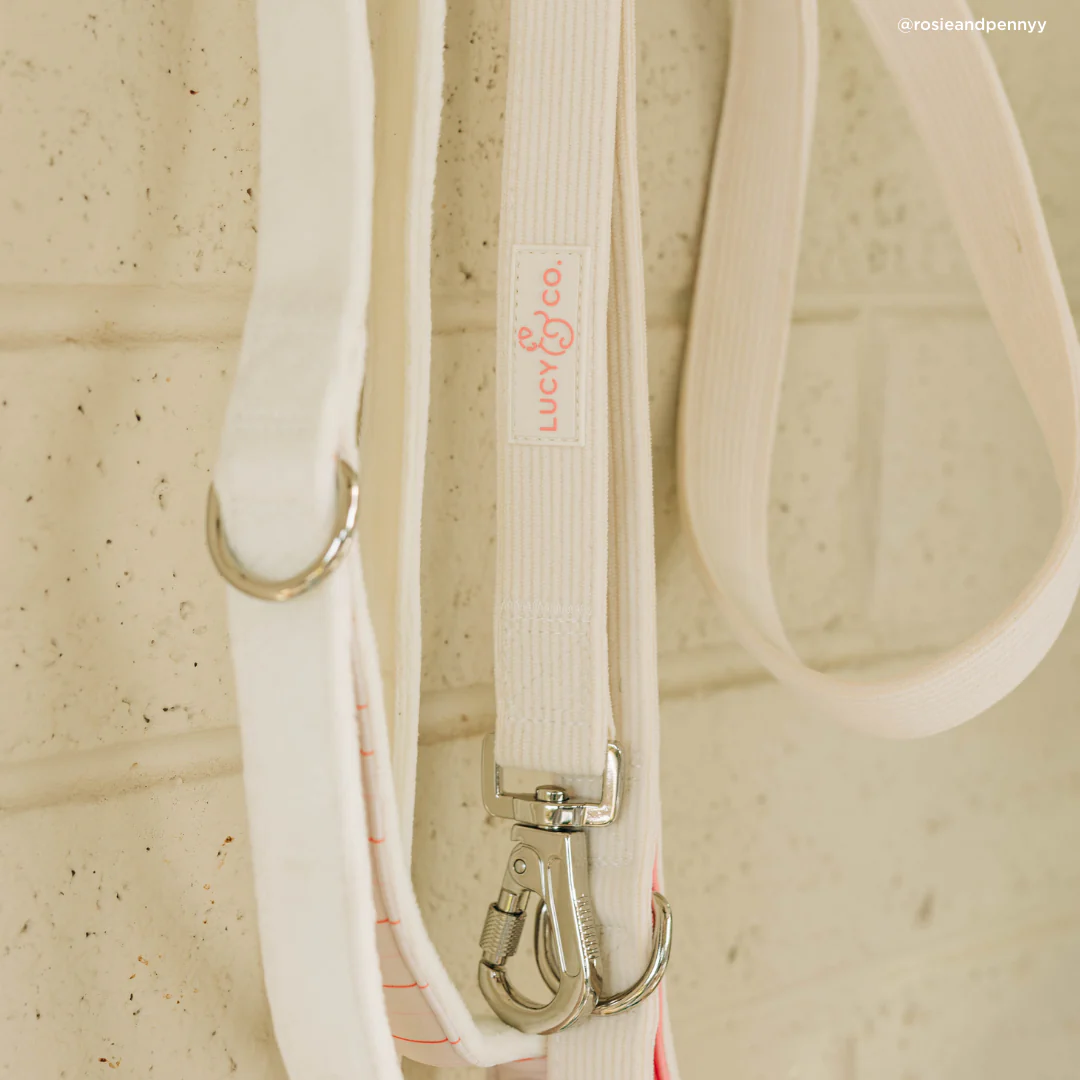 Ivory Corduroy Leash - Image 3