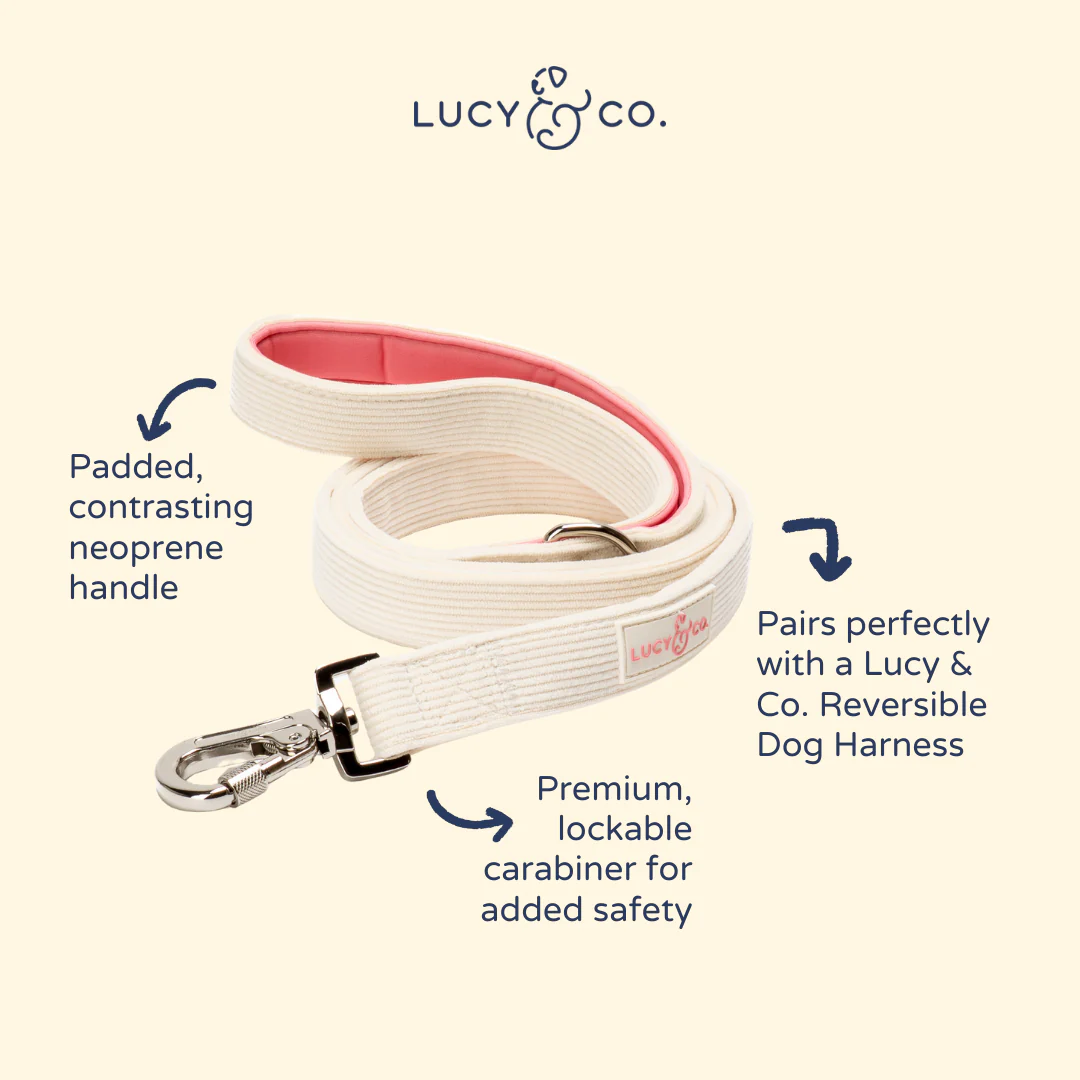Ivory Corduroy Leash - Image 4