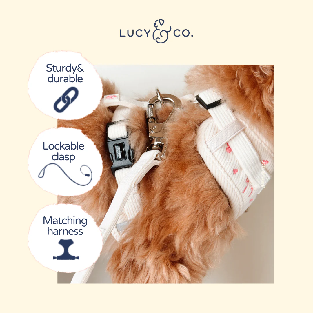 Ivory Corduroy Leash - Image 5