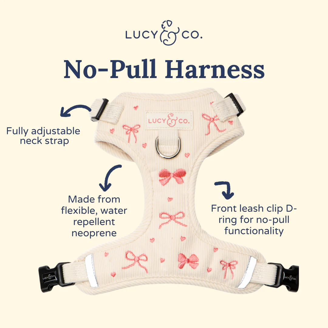 Ever So Sweet No-Pull Harness - Image 5