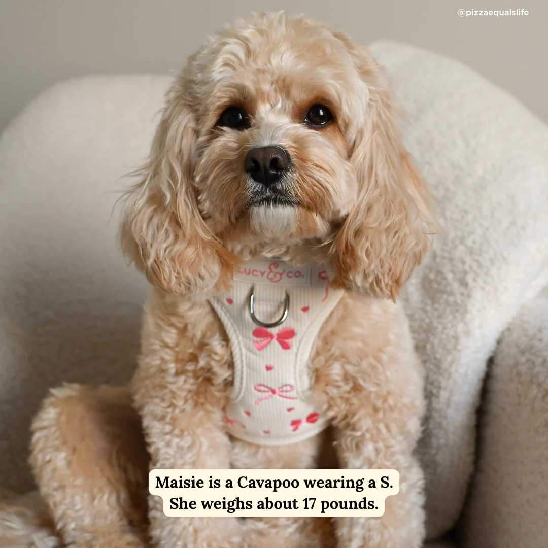 Ever So Sweet No-Pull Harness - Image 9