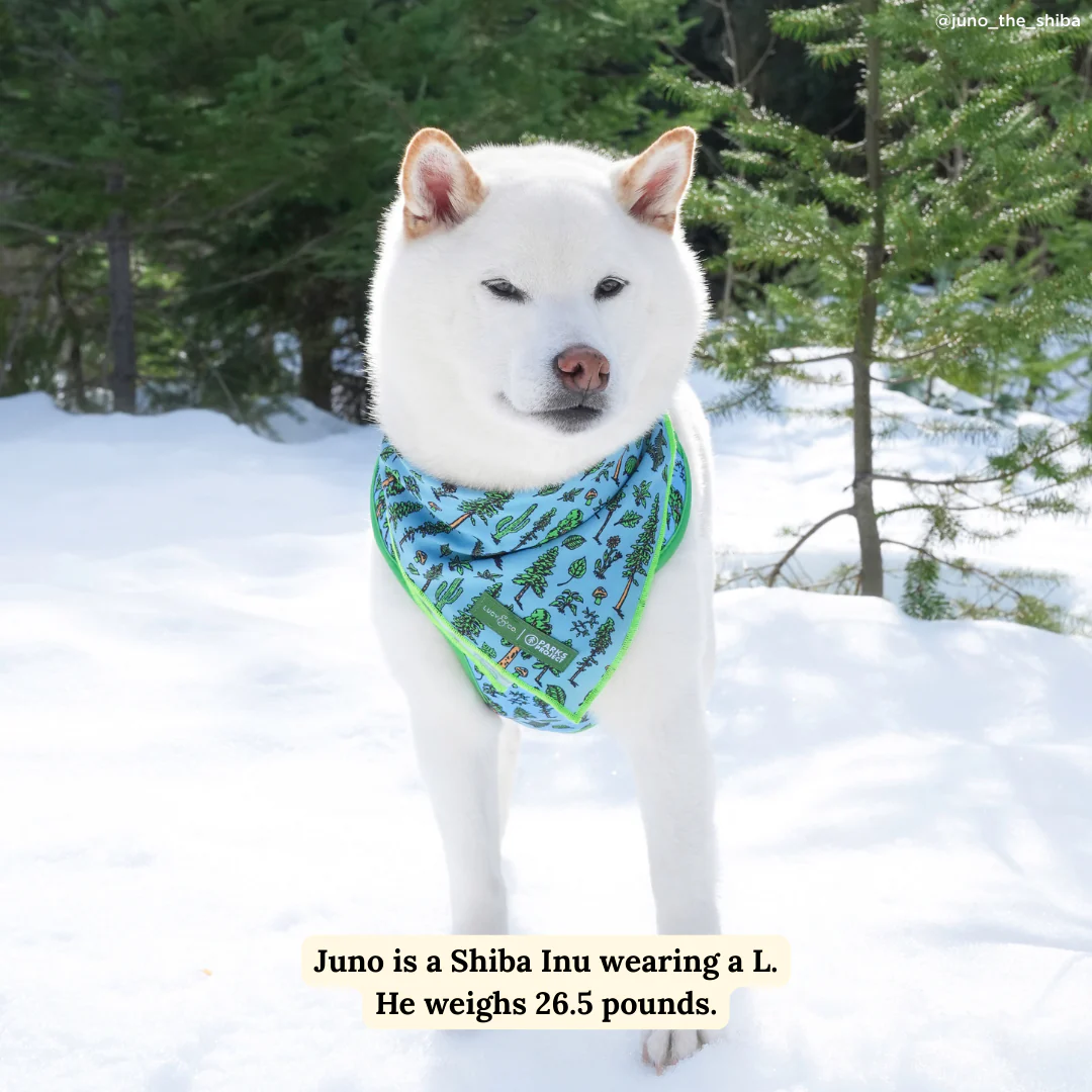 Lucy & Co. x Parks Project Feel the Earth Breathe Bandana - Image 3