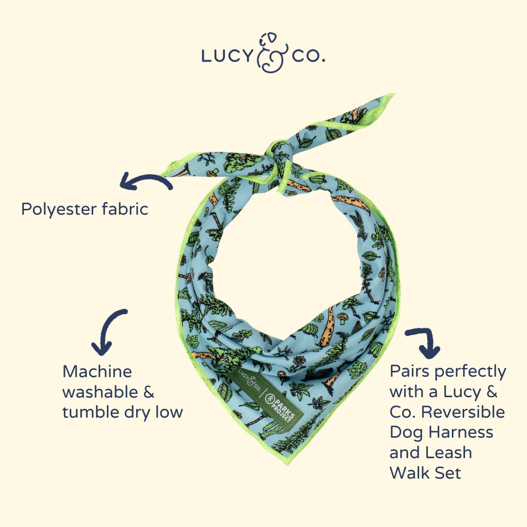 Lucy & Co. x Parks Project Feel the Earth Breathe Bandana - Image 4