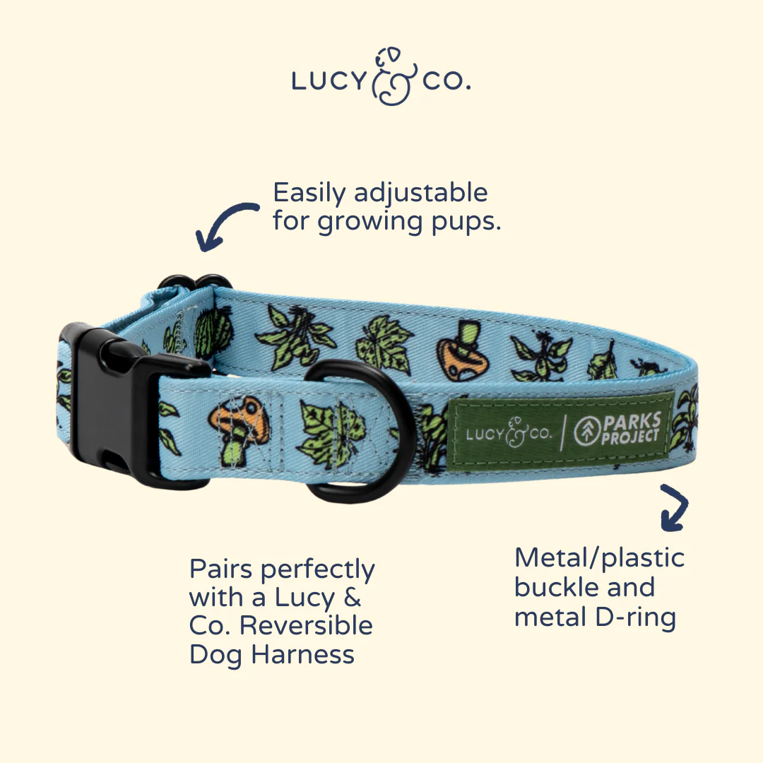 Lucy & Co. x Parks Project Feel the Earth Breathe Collar - Image 4
