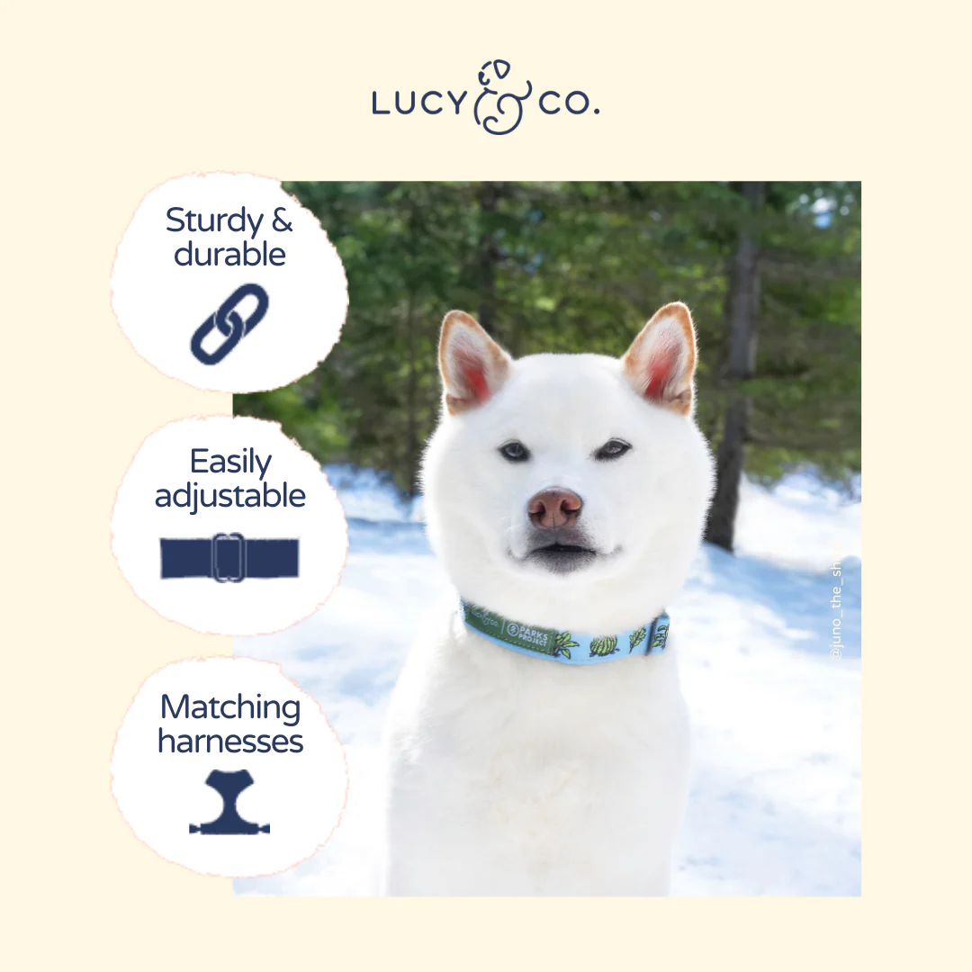 Lucy & Co. x Parks Project Feel the Earth Breathe Collar - Image 5