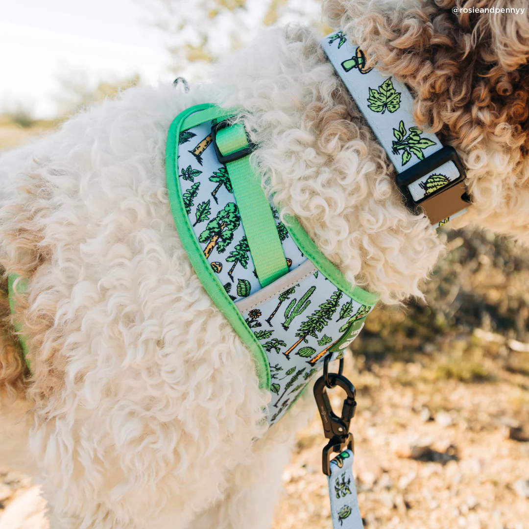Lucy & Co. x Parks Project Feel the Earth Breathe No-Pull Harness - Image 3