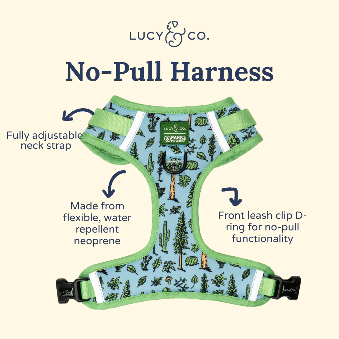 Lucy & Co. x Parks Project Feel the Earth Breathe No-Pull Harness - Image 5