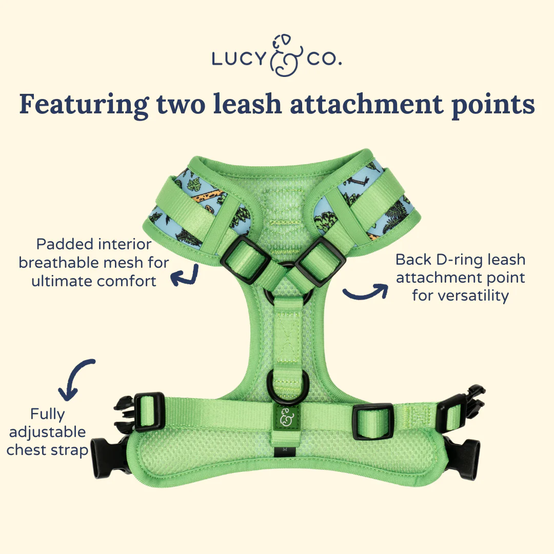 Lucy & Co. x Parks Project Feel the Earth Breathe No-Pull Harness - Image 6