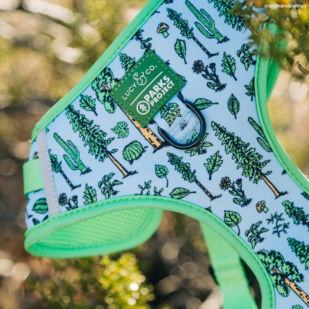 Lucy & Co. x Parks Project Feel the Earth Breathe No-Pull Harness - Image 8