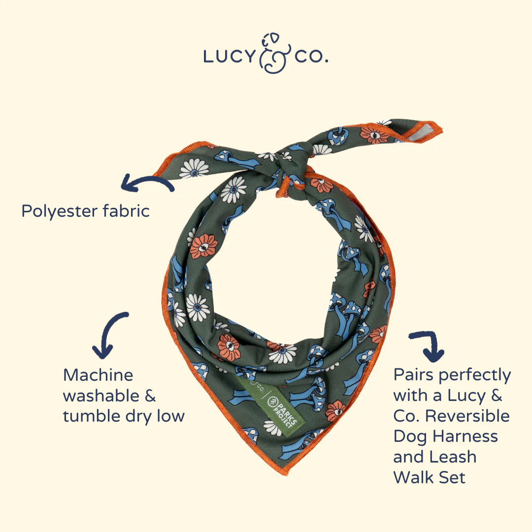 Lucy & Co. x Parks Project Power to the Parks Bandana - Image 3