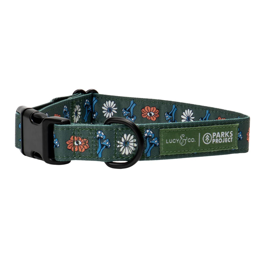 Lucy & Co. x Parks Project Power to the Parks Collar