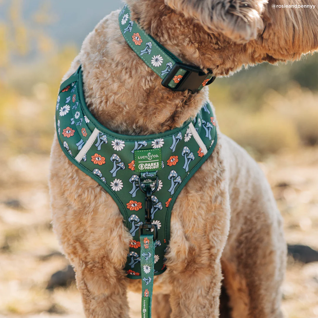 Lucy & Co. x Parks Project Power to the Parks Collar - Image 3