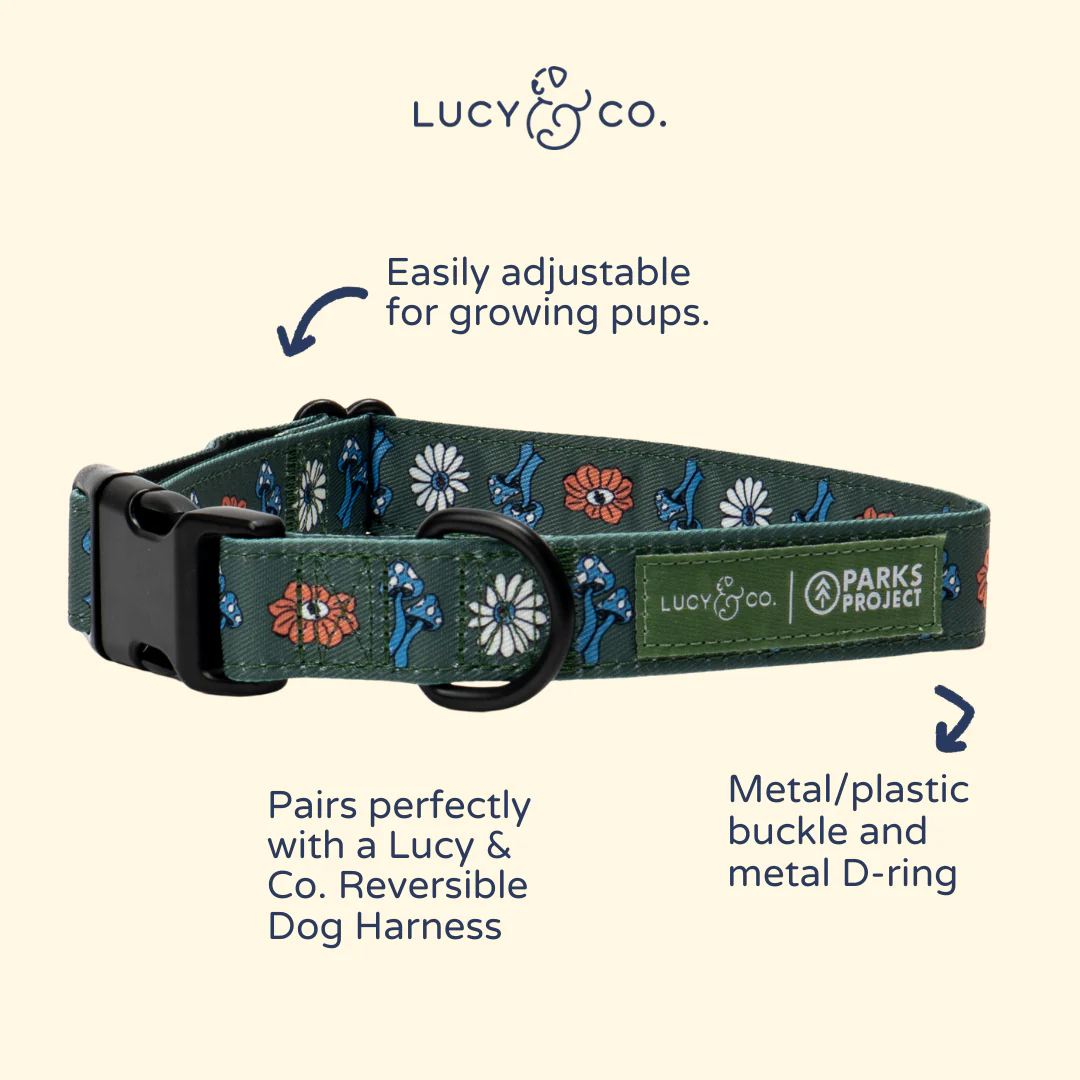 Lucy & Co. x Parks Project Power to the Parks Collar - Image 4