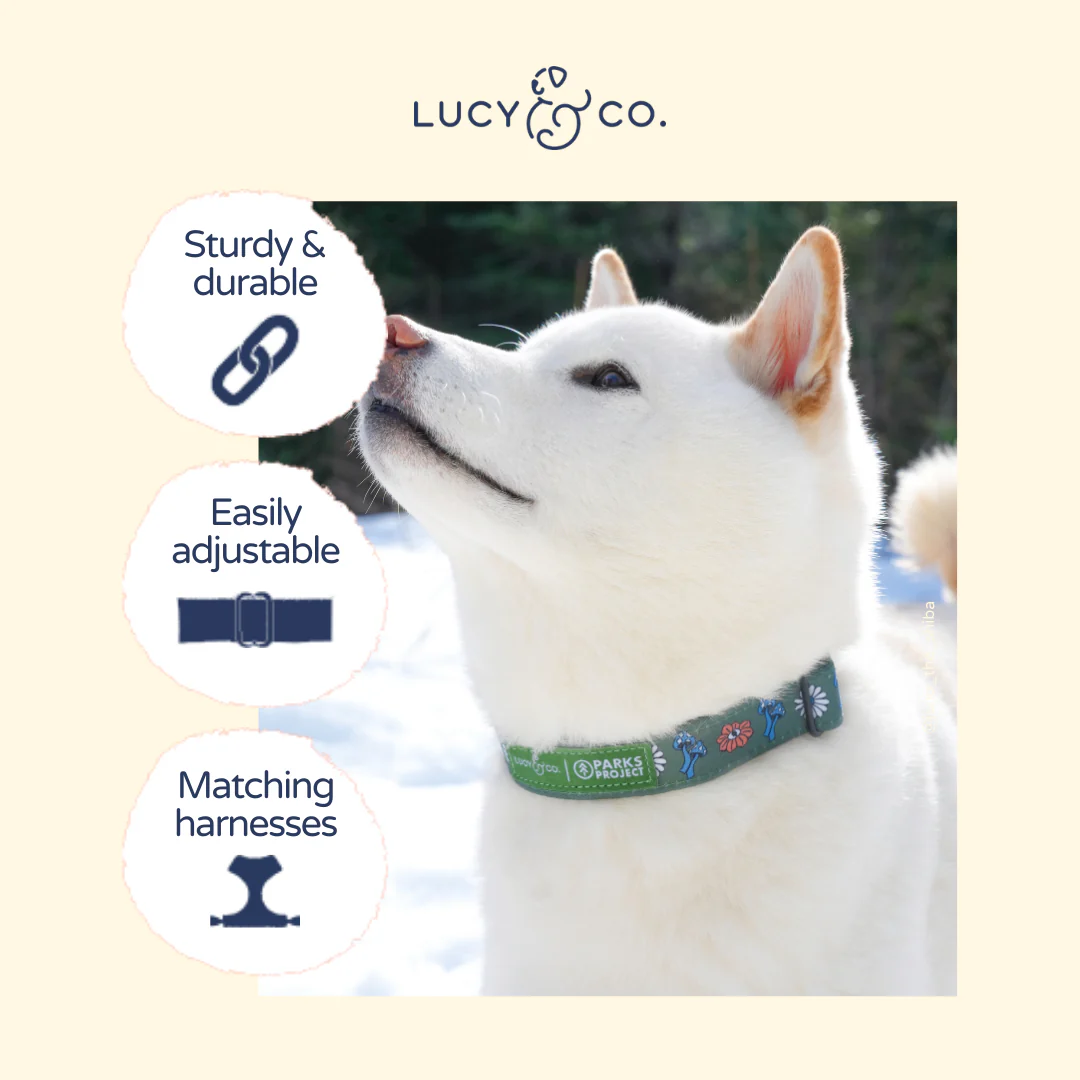 Lucy & Co. x Parks Project Power to the Parks Collar - Image 6