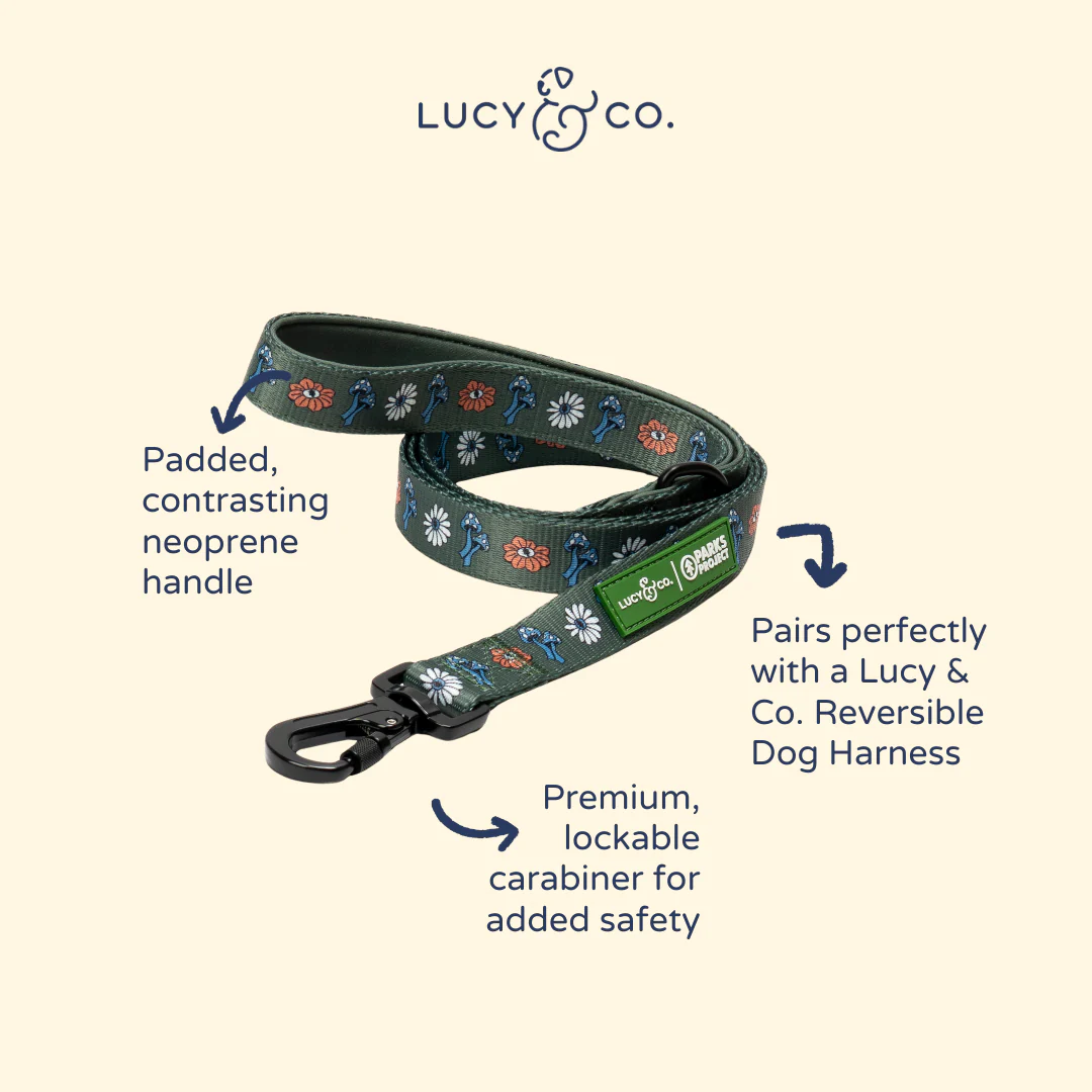 Lucy & Co. x Parks Project Power to the Parks Leash - Image 3