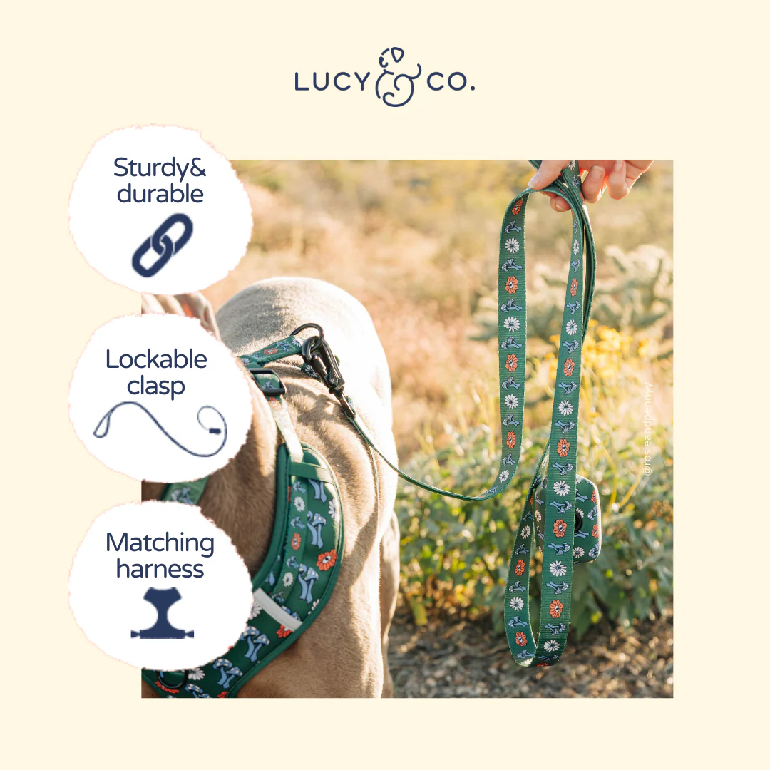 Lucy & Co. x Parks Project Power to the Parks Leash - Image 4