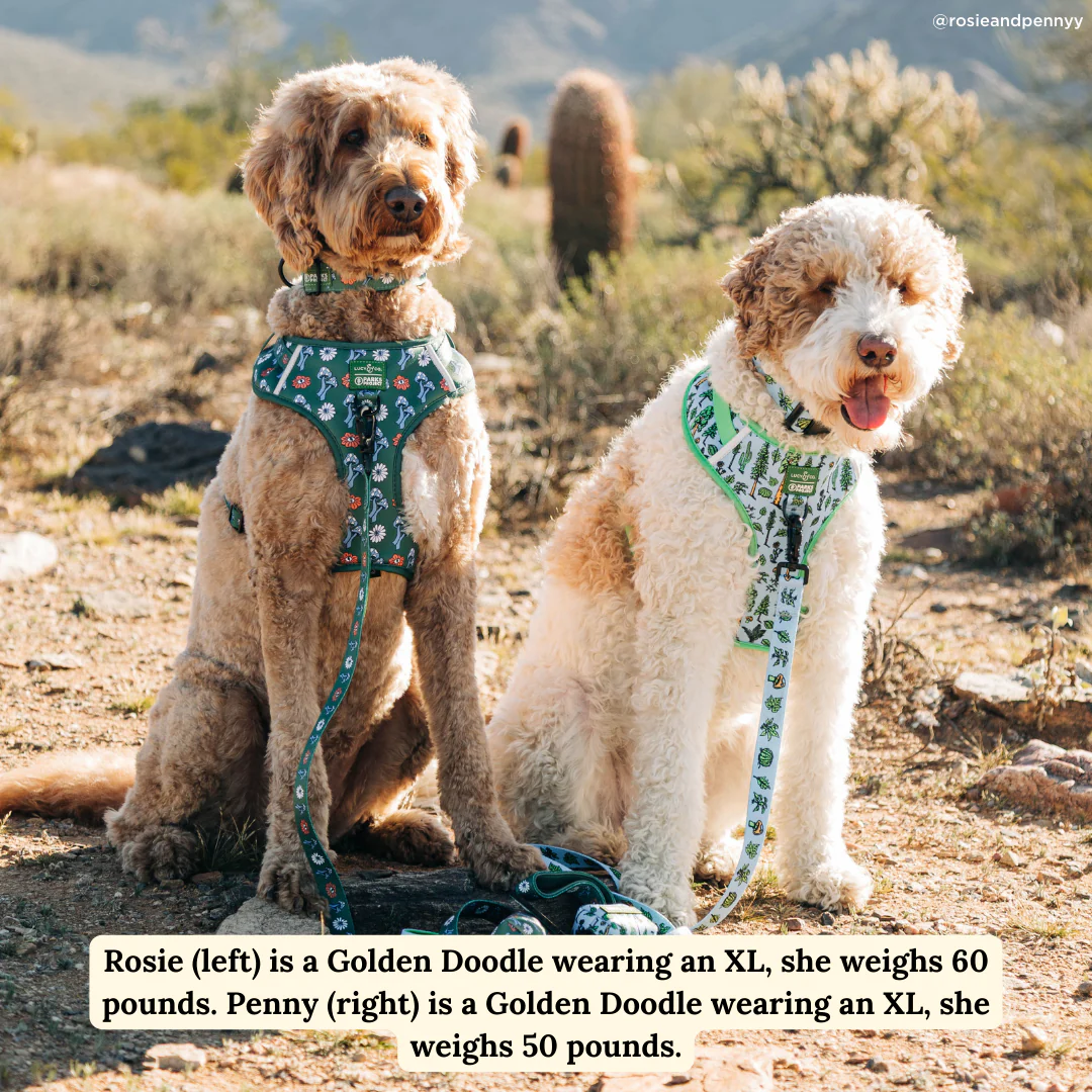 Lucy & Co. x Parks Project Power to the Parks No-Pull Harness - Image 2