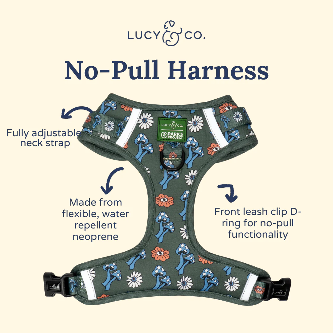 Lucy & Co. x Parks Project Power to the Parks No-Pull Harness - Image 5