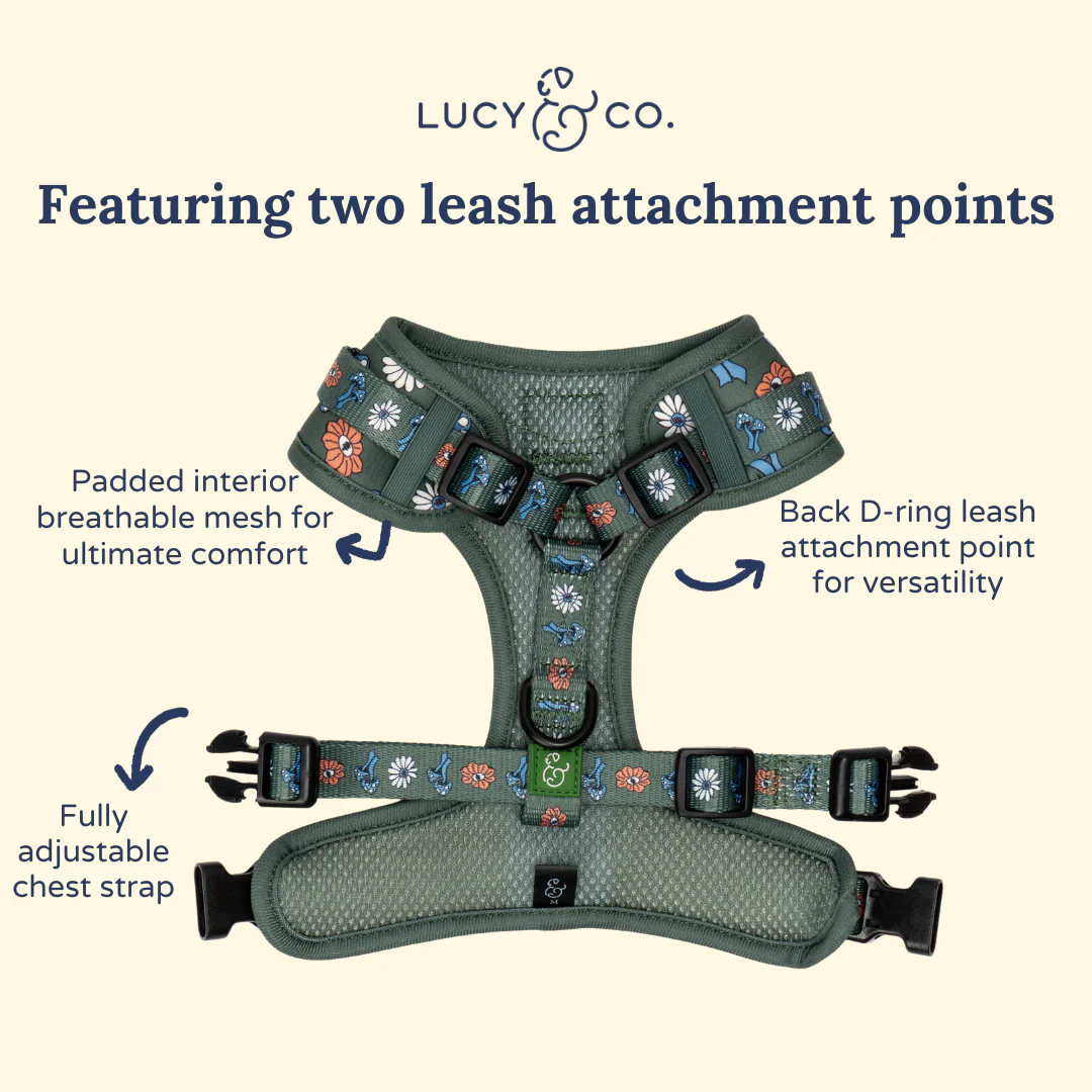 Lucy & Co. x Parks Project Power to the Parks No-Pull Harness - Image 6