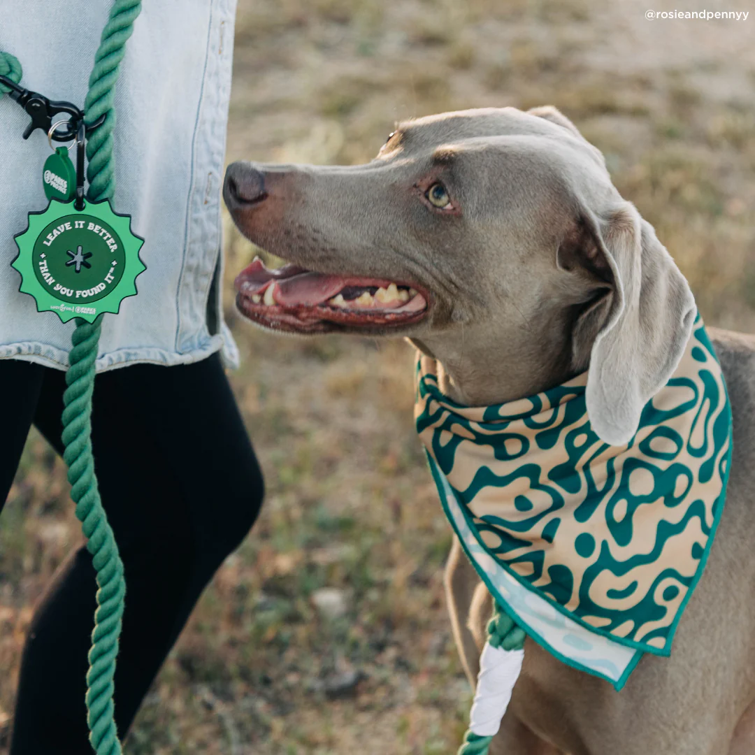 Lucy & Co. x Parks Project Geyser Bandana - Image 4