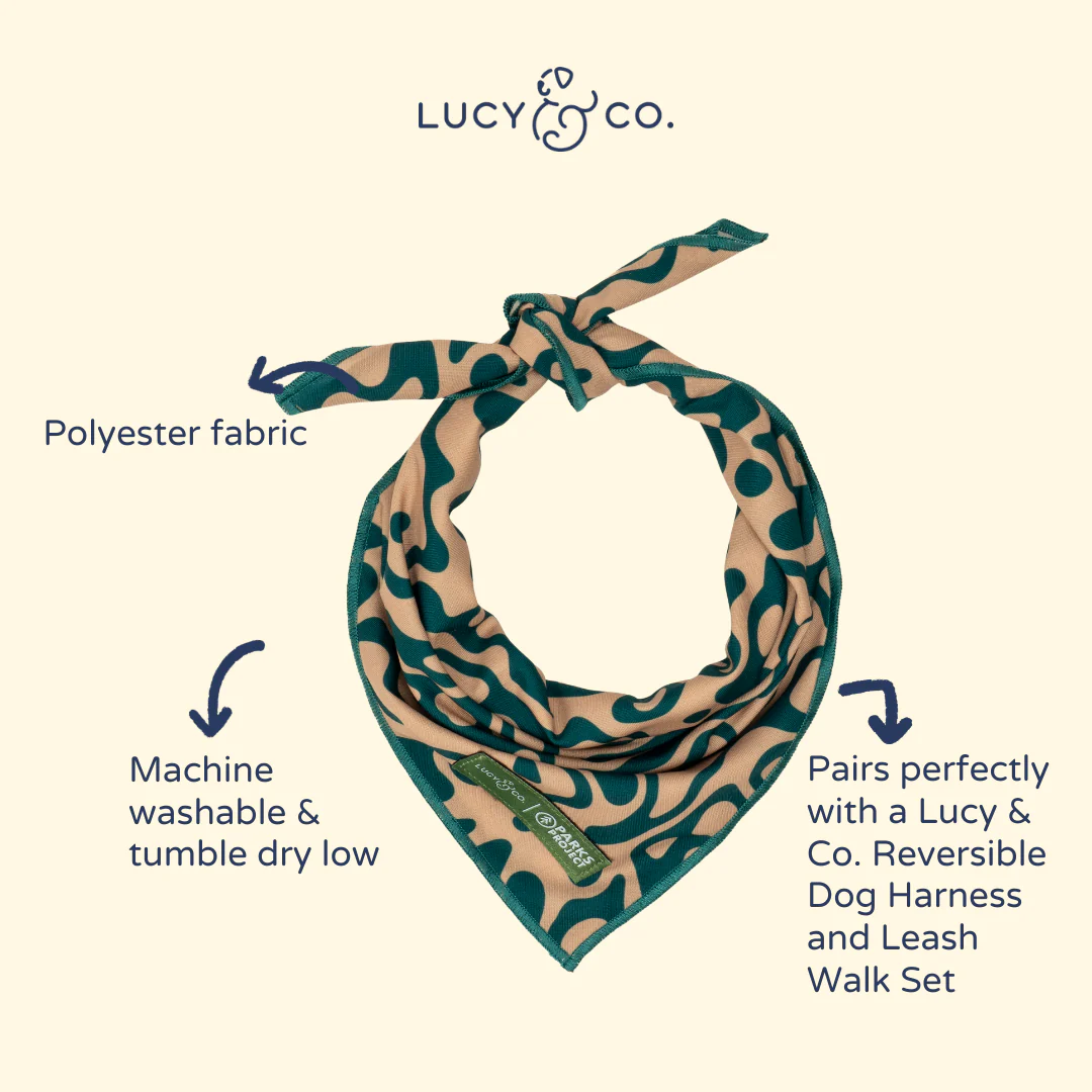 Lucy & Co. x Parks Project Geyser Bandana - Image 5