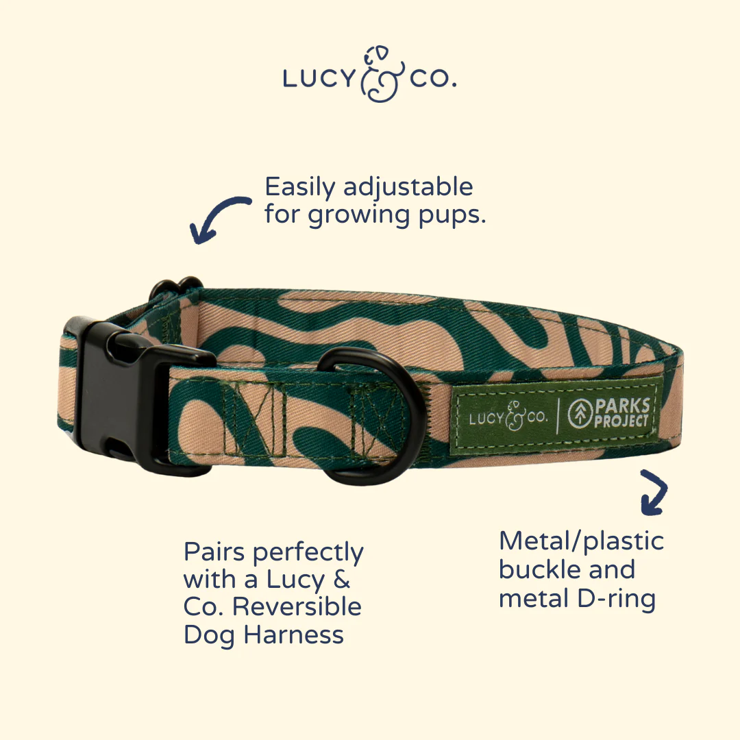Lucy & Co. x Parks Project Geyser Collar - Image 5