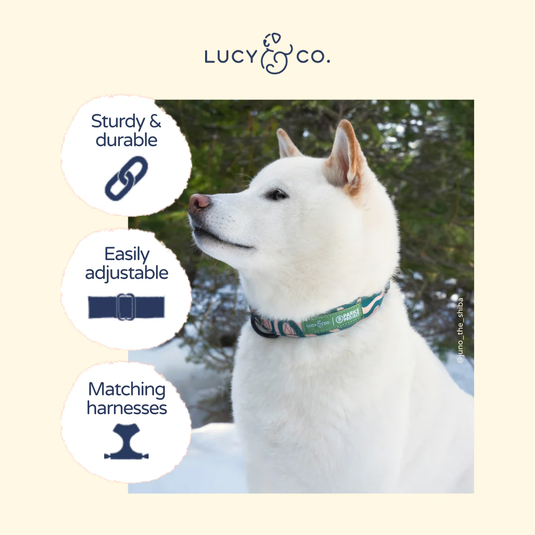 Lucy & Co. x Parks Project Geyser Collar - Image 6