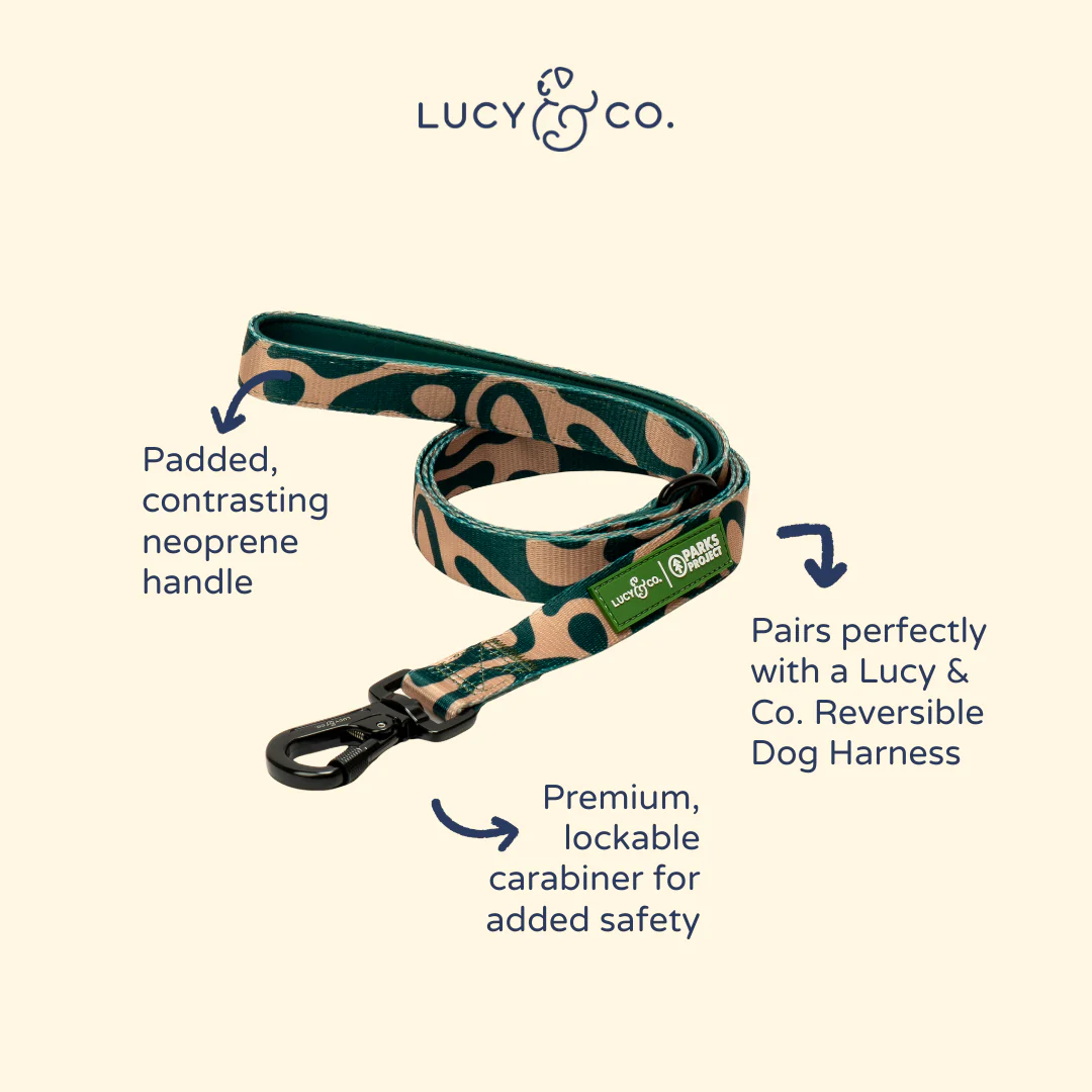 Lucy & Co. x Parks Project Geyser Leash - Image 3