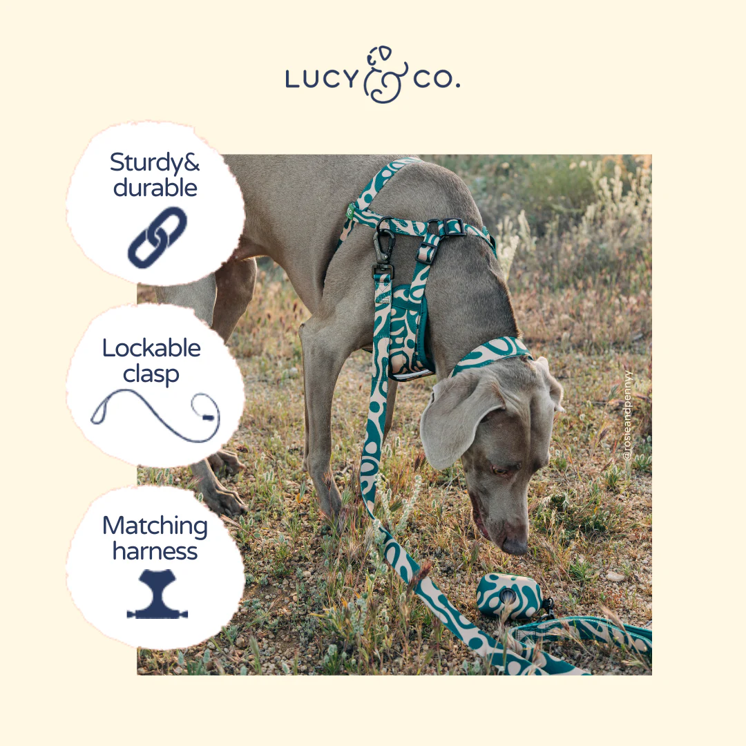 Lucy & Co. x Parks Project Geyser Leash - Image 5