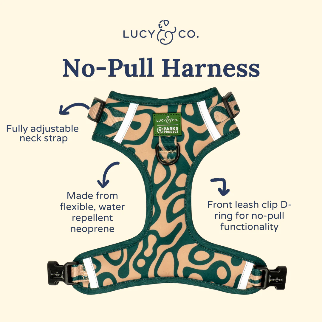 Lucy & Co. x Parks Project Geyser No-Pull Harness - Image 5