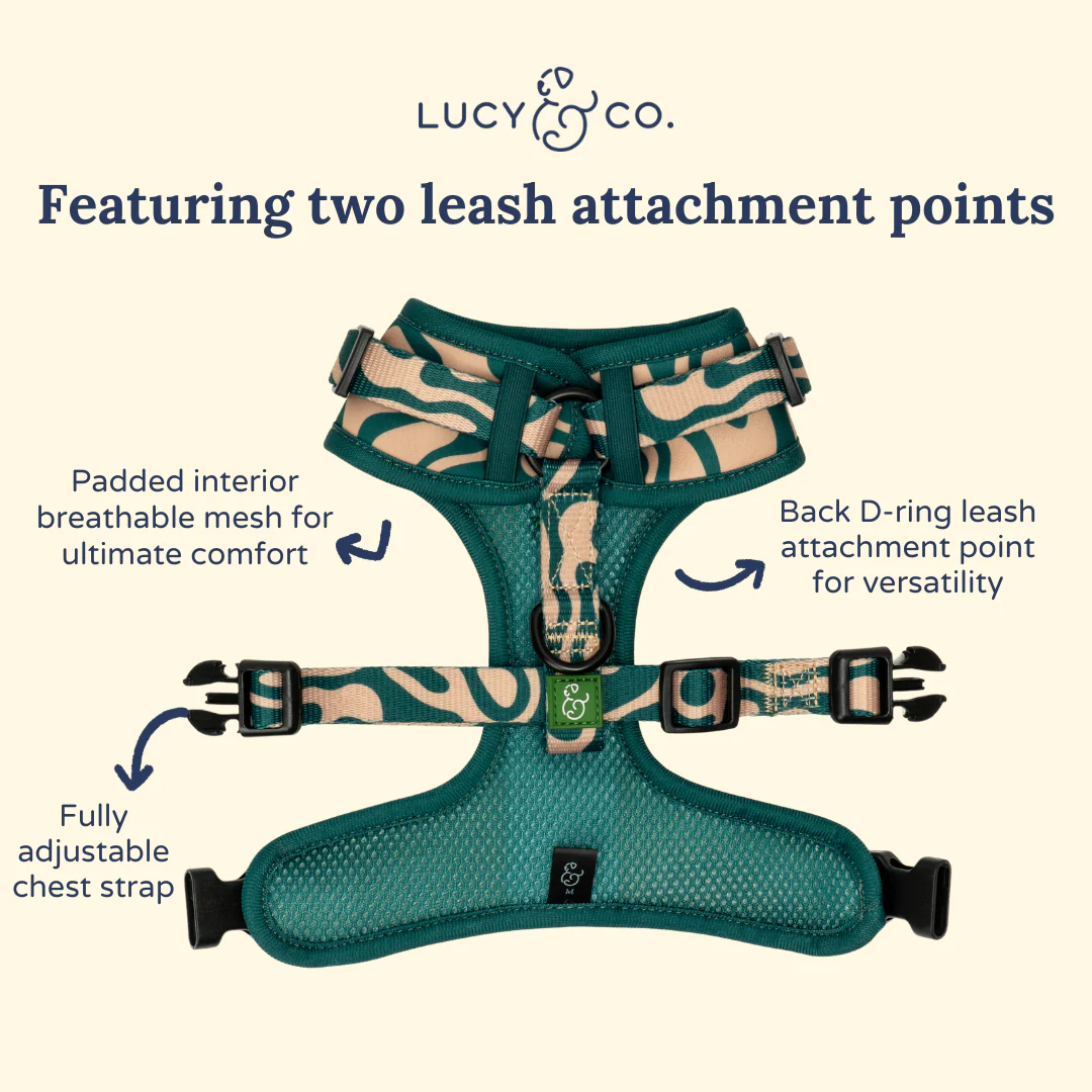 Lucy & Co. x Parks Project Geyser No-Pull Harness - Image 6