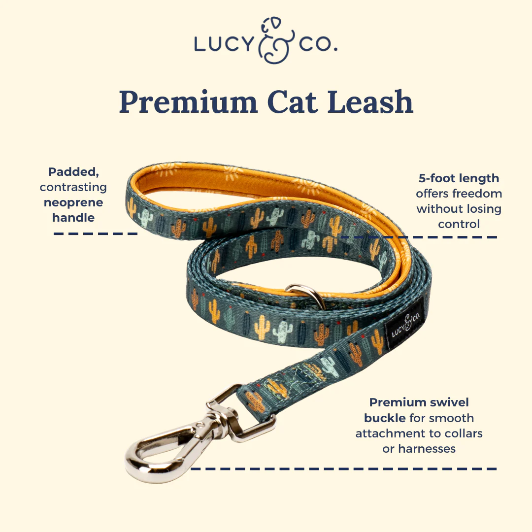 Looking Sharp Cat Leash - Image 3