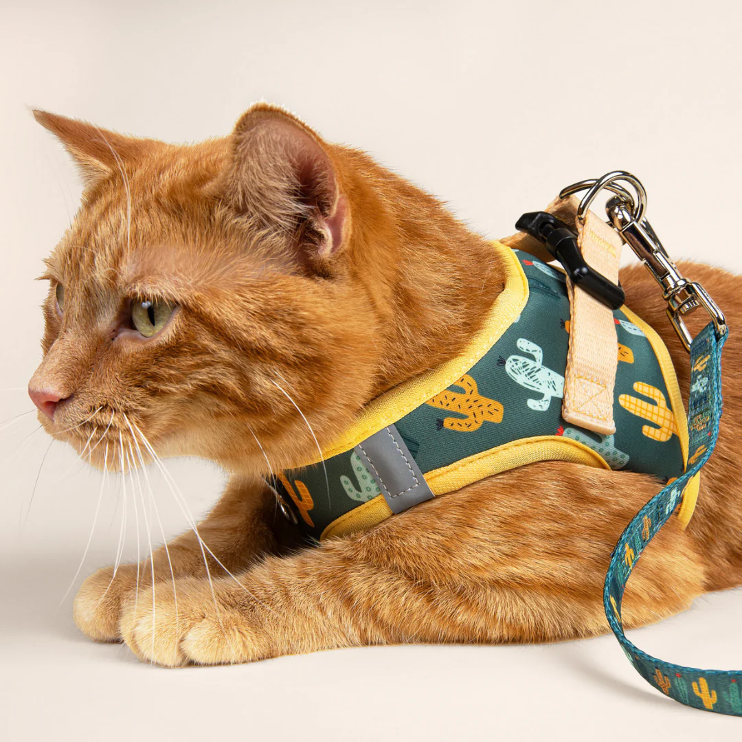 Looking Sharp Step-in Cat Harness - Image 3
