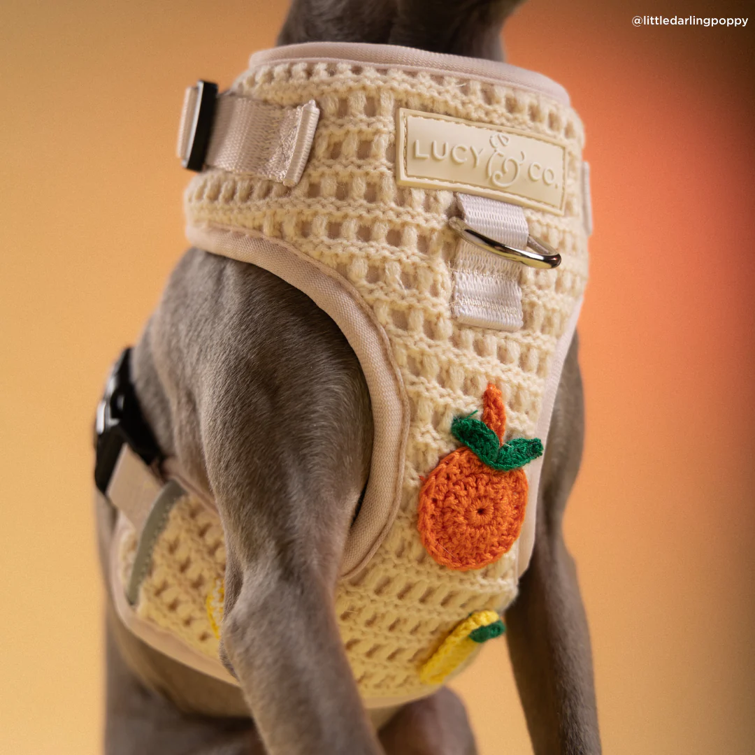 Main Squeeze Crochet No-Pull Harness - Image 4