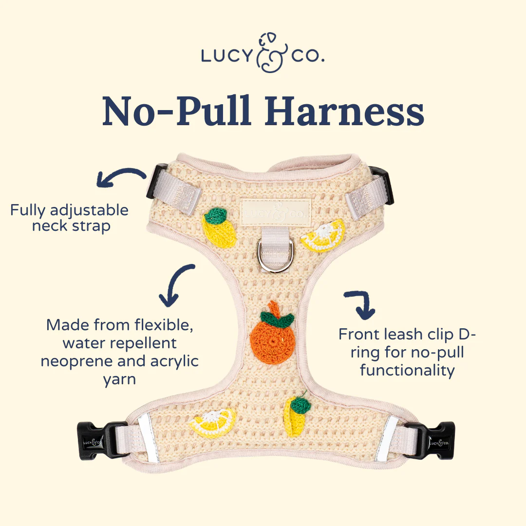 Main Squeeze Crochet No-Pull Harness - Image 5