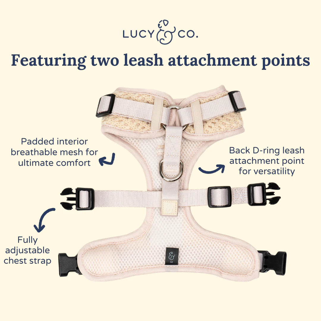 Main Squeeze Crochet No-Pull Harness - Image 6