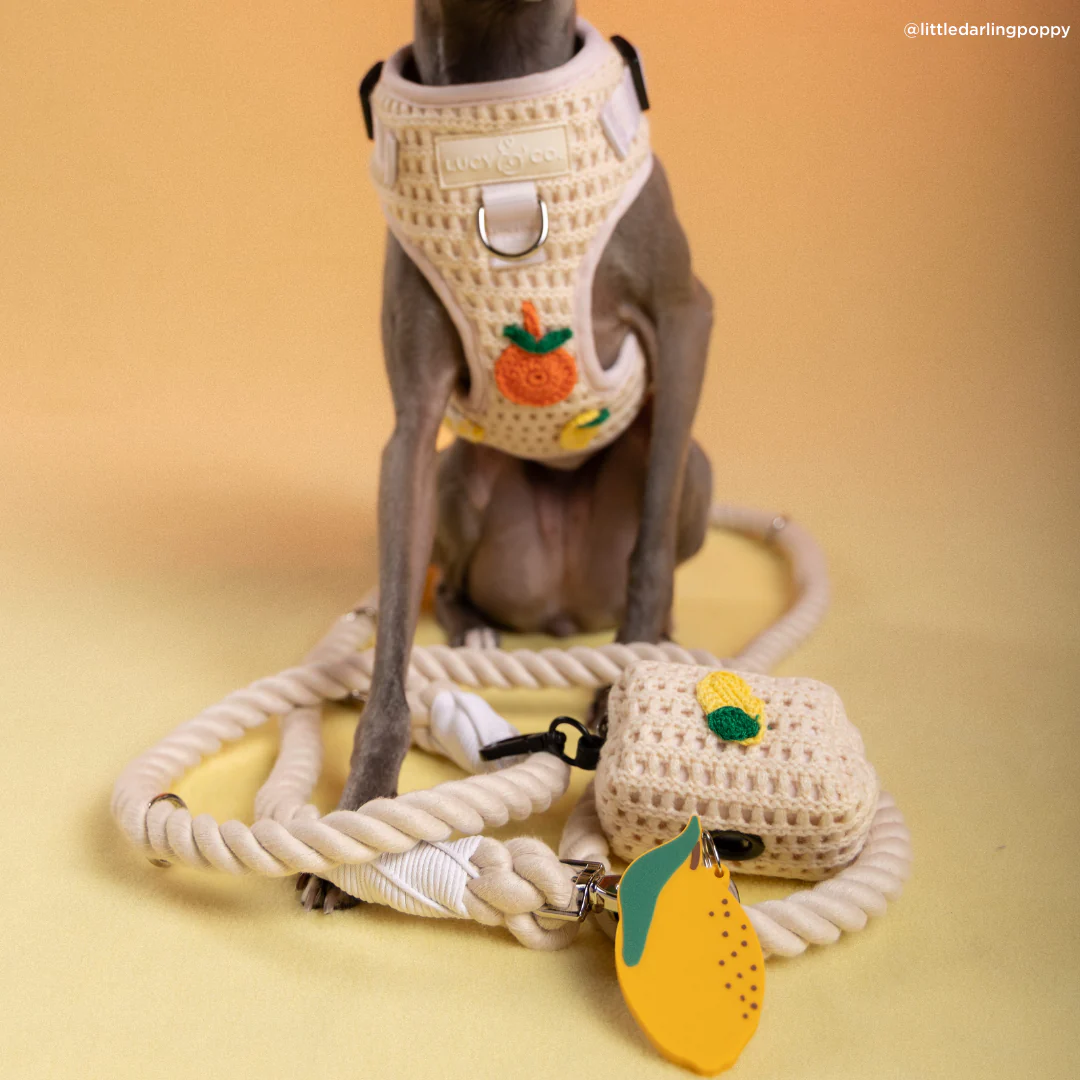 Main Squeeze Hands-Free Rope Leash - Image 3