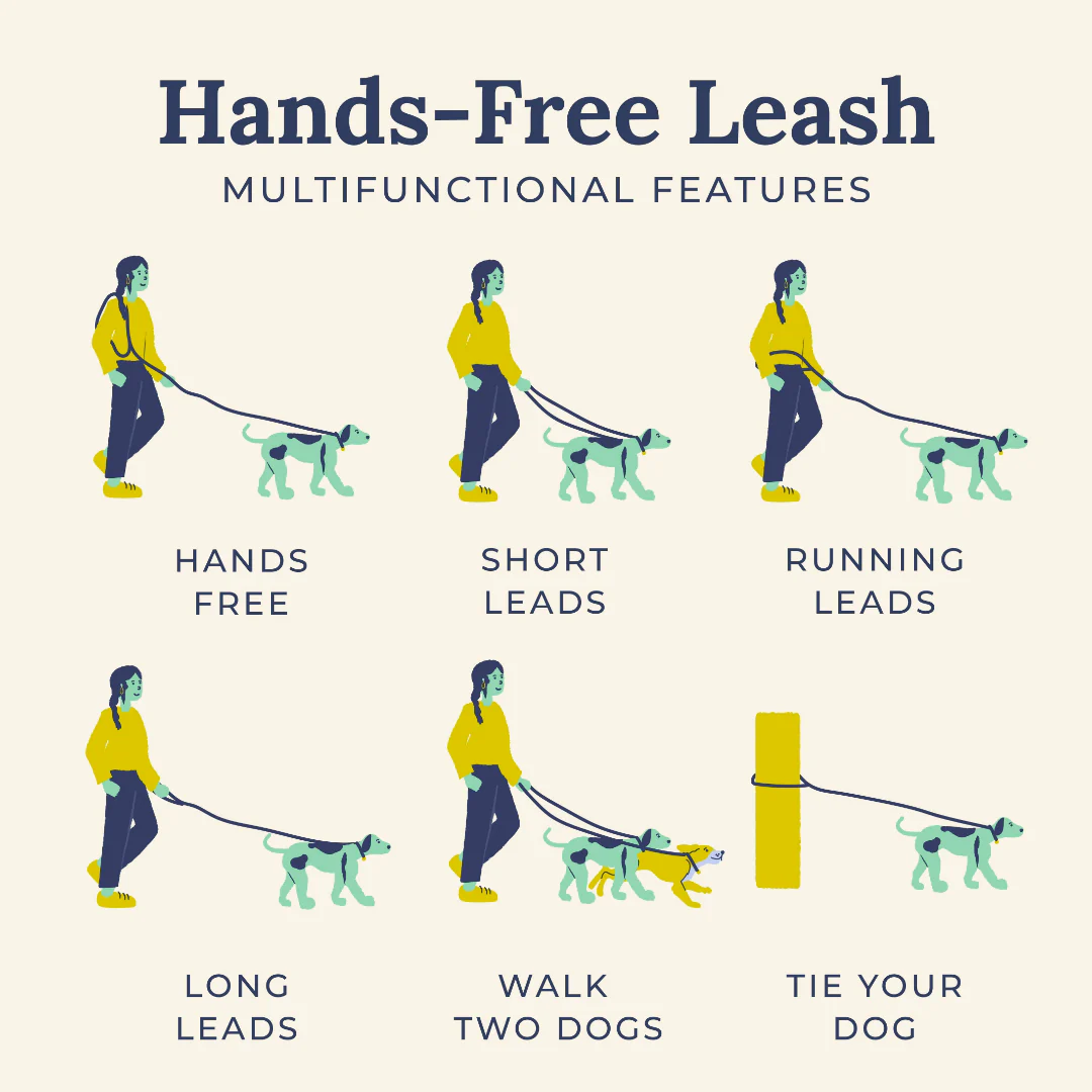 Main Squeeze Hands-Free Rope Leash - Image 5