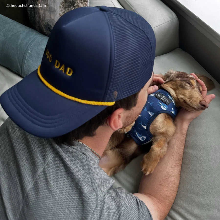 Navy Dog Dad Trucker Hat - Image 3