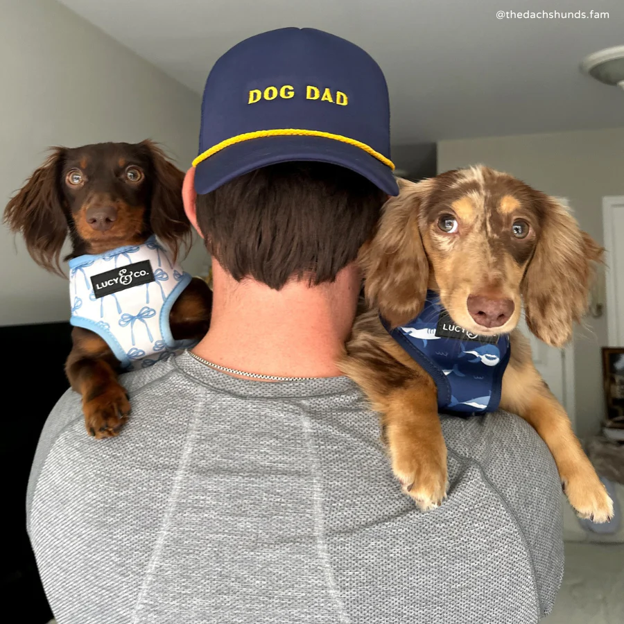 Navy Dog Dad Trucker Hat - Image 7