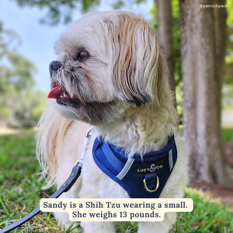 Navy No-Pull Harness - Image 4