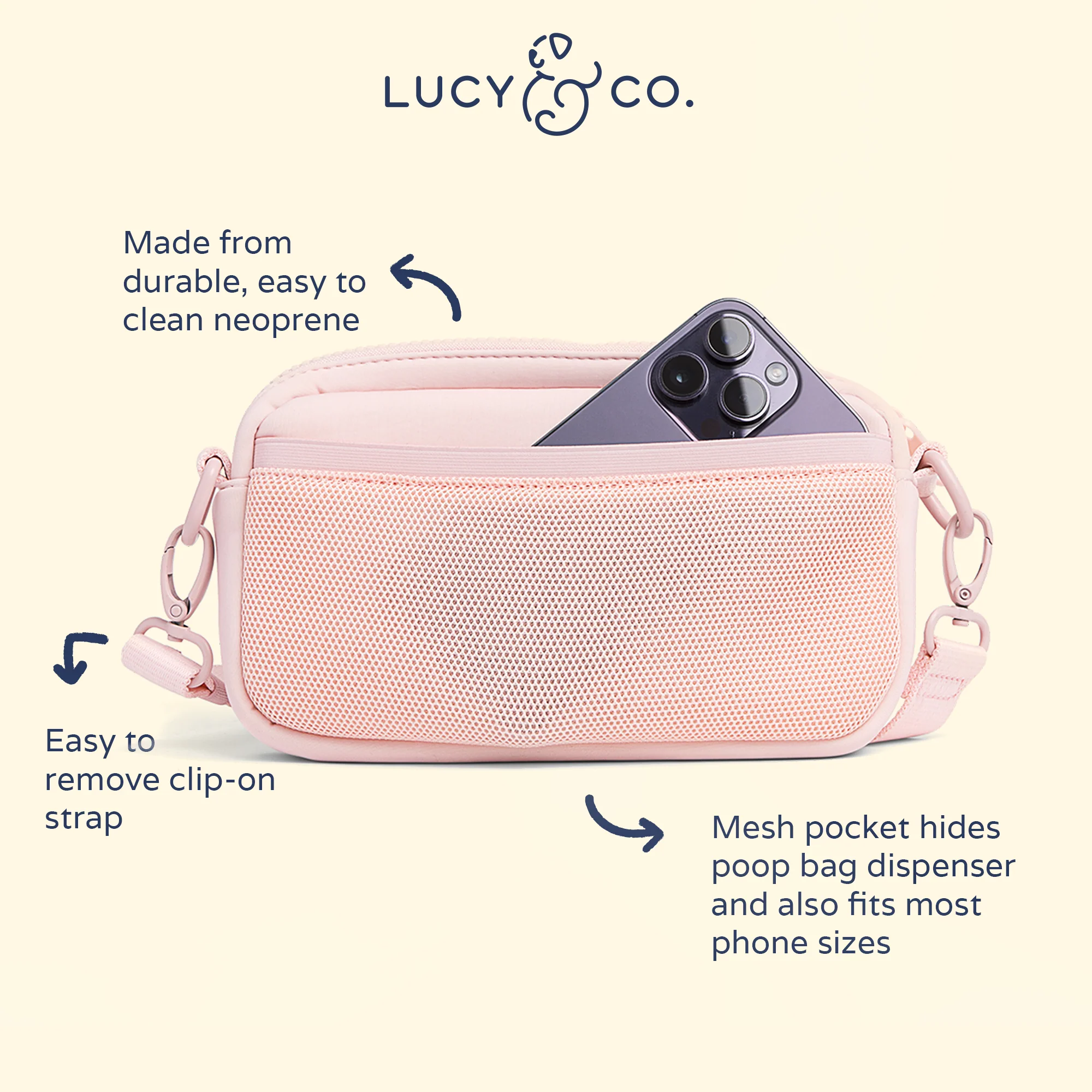 Rosewater Crossbody Treat Bag - Image 4