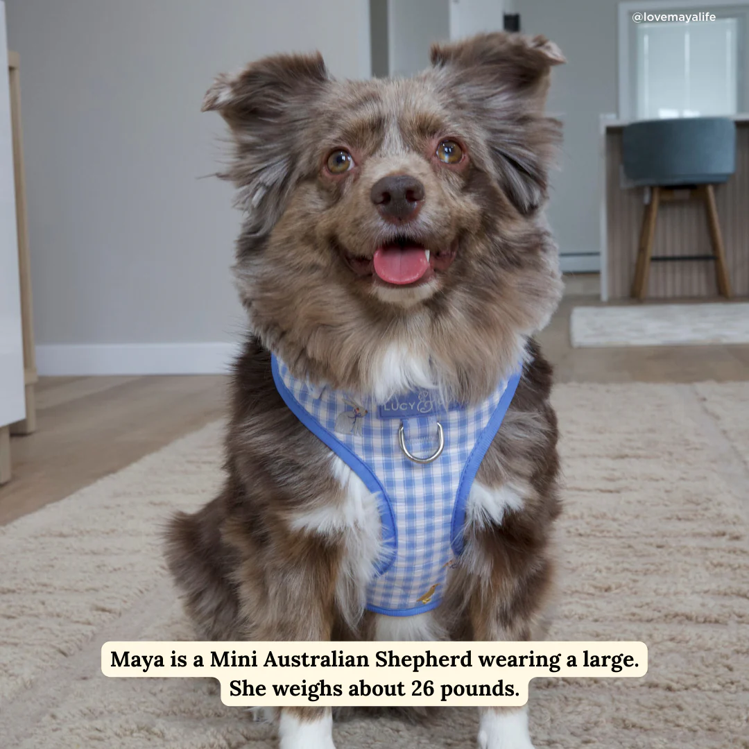 Silly Goose No-Pull Harness - Image 3