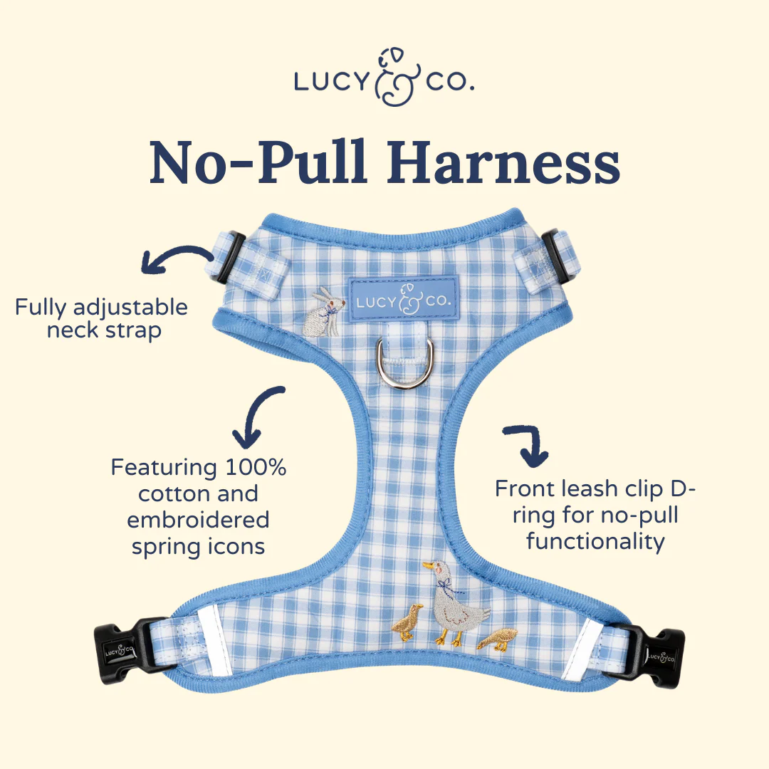 Silly Goose No-Pull Harness - Image 4