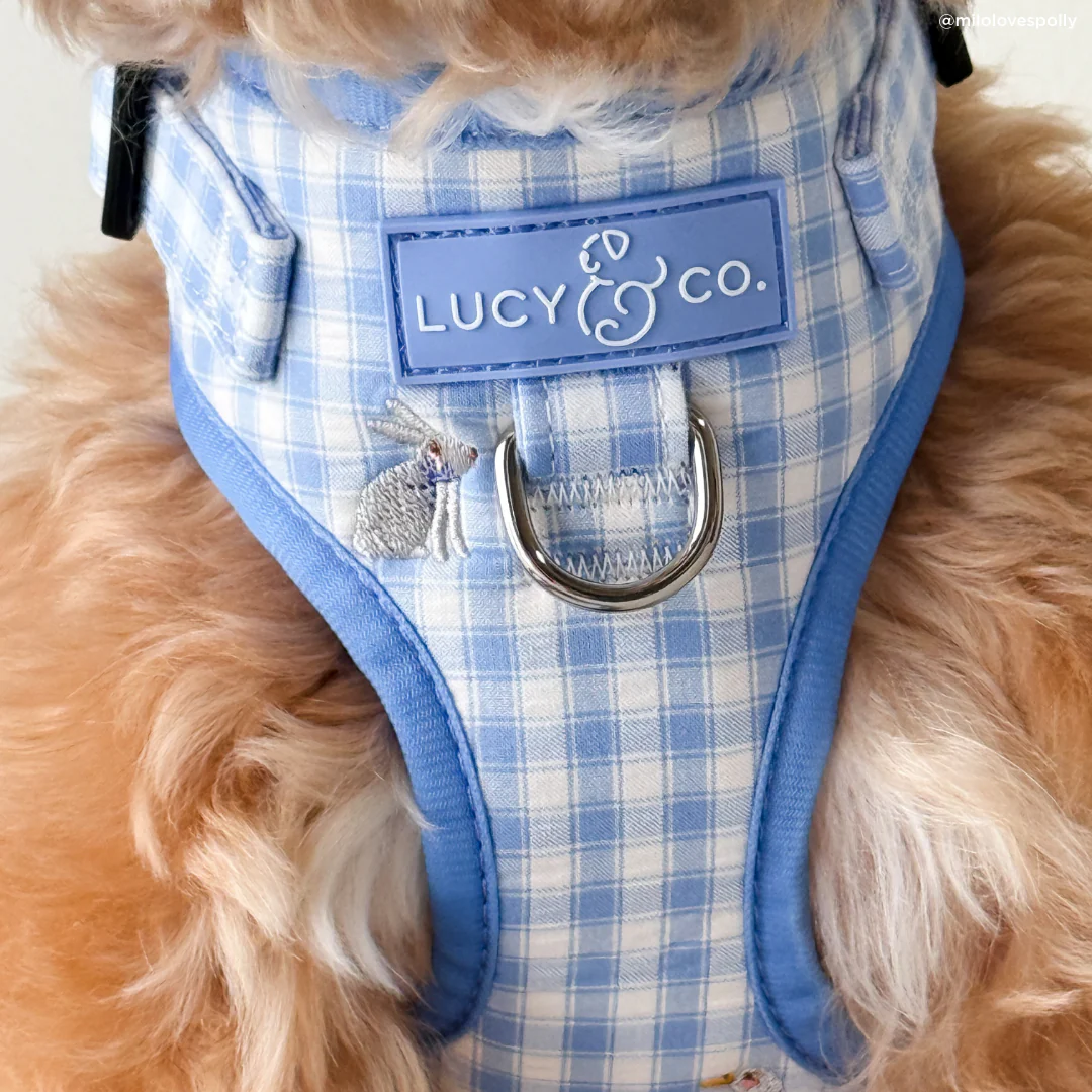 Silly Goose No-Pull Harness - Image 6