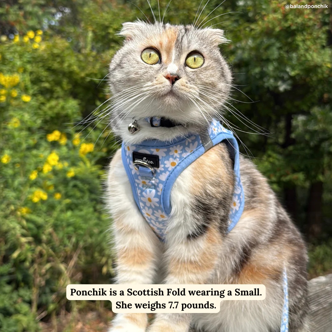 Simply Splendid Step-in Cat Harness - Image 4