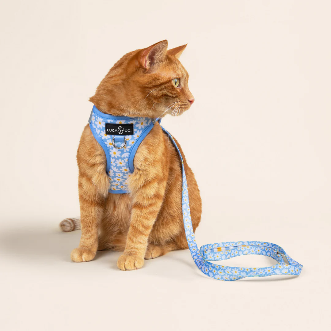 Simply Splendid Step-in Cat Harness - Image 5
