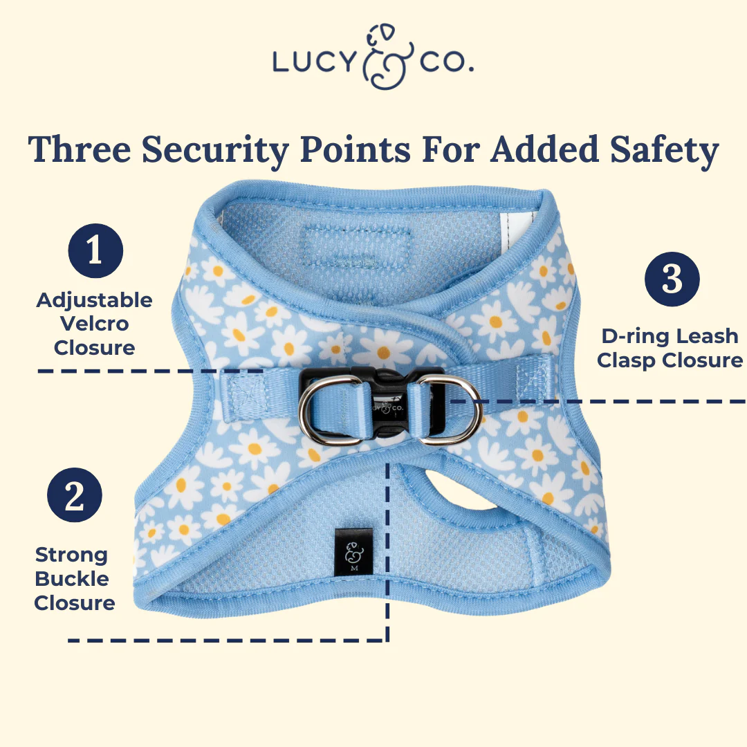 Simply Splendid Step-in Cat Harness - Image 7