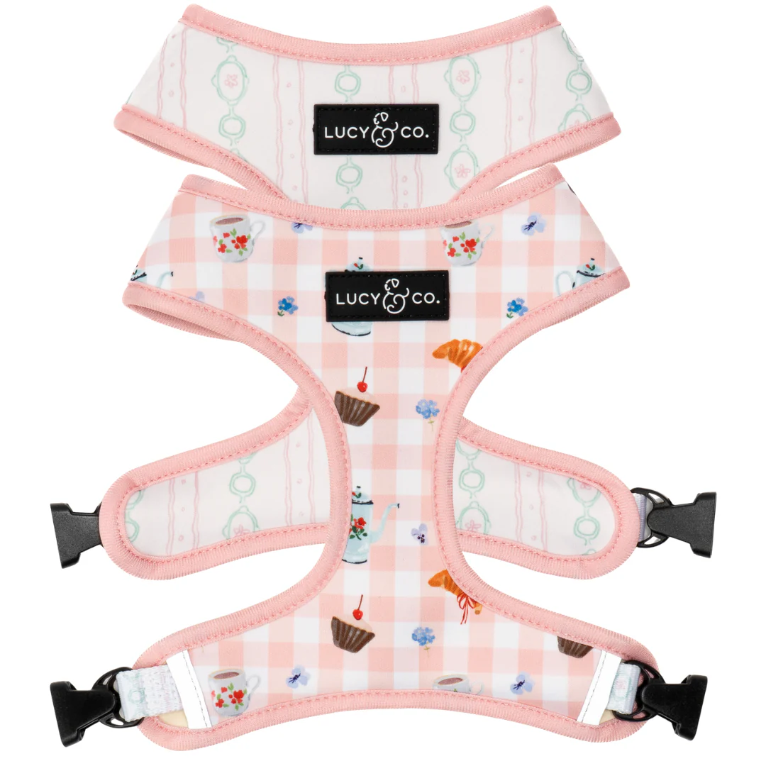 New Markdowns