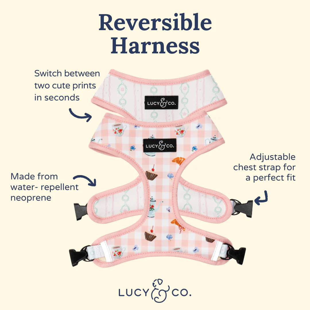 Sipping Slowly Reversible Harness - Image 5